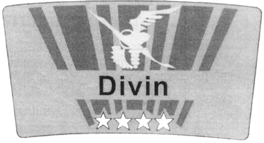 DIVIN