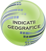 Indicaţii geografice
