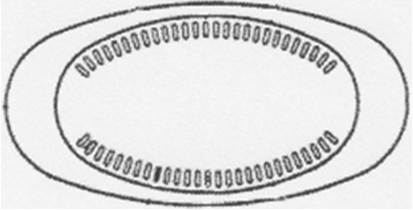 Thumbnail image  19777