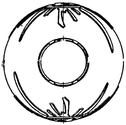 Thumbnail image  6187