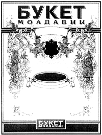 Imagine pentru nr. de depozit:  " + n210 + "