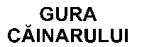 Imagine pentru nr. de depozit:  " + n210 + "